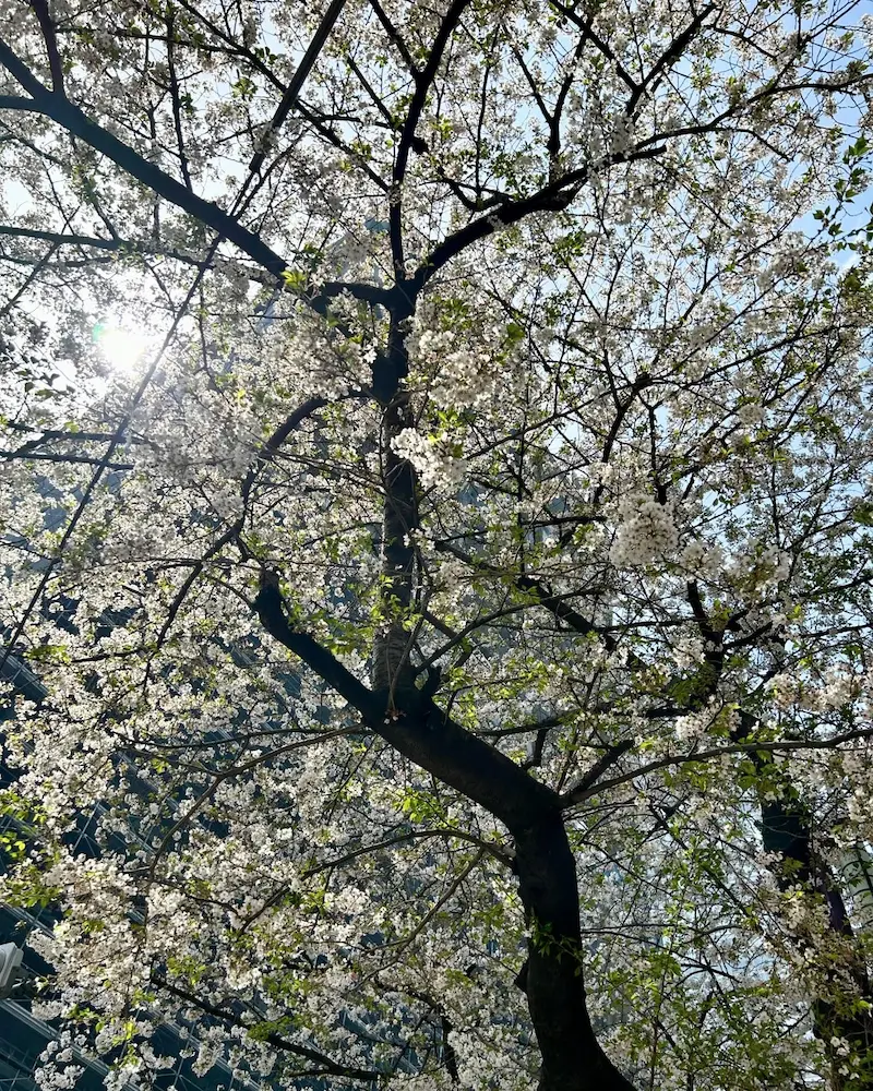 鈴木絢音さんのInstagramの画像